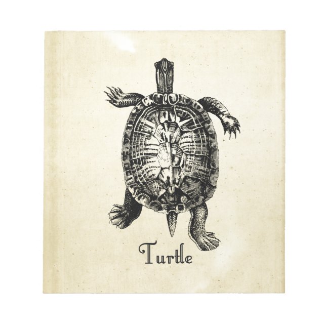 Bloc-note TORTUE vintage (Devant)