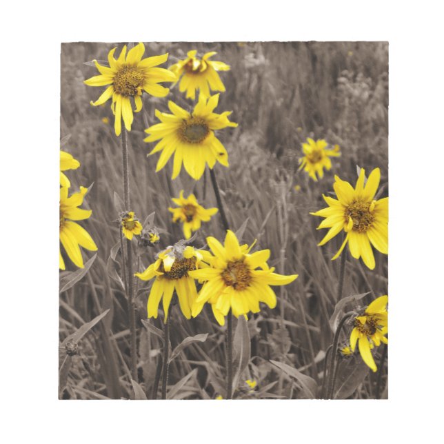 Bloc-note Tournesol dans la Montagne Rocheuse (Devant)