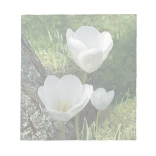 Bloc-note Trio à fleurs de tulipes blanches