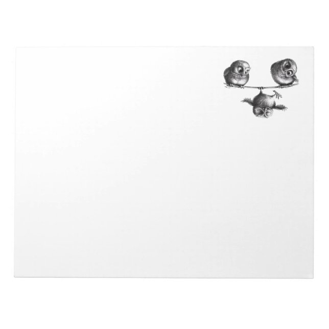 Bloc-note Trois Chouettes - Liberté et Amusement (Devant)