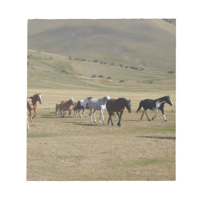 Bloc-note Troupeau de chevaux (Devant)