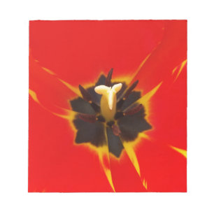 Bloc-note tulipe jaune rouge