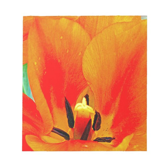 Bloc-note Tulipe orange (Devant)