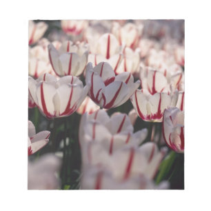 Bloc-note Tulipes