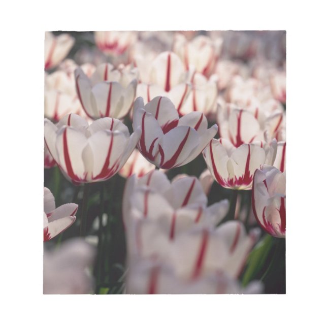 Bloc-note Tulipes (Devant)