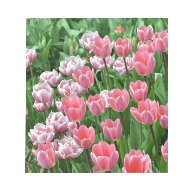Bloc-note tulipes roses (Devant)