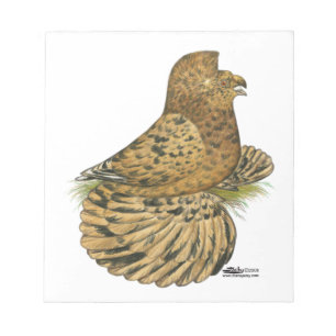 Bloc-note Tumpeter Pigeon Almond