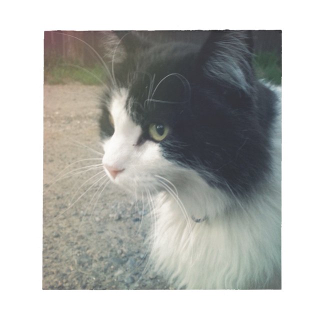 Bloc-note Tuxedo (Devant)