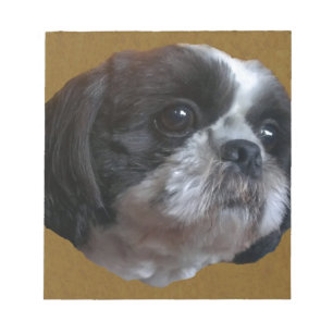 Bloc-note Tzu adorable Rico de Shih