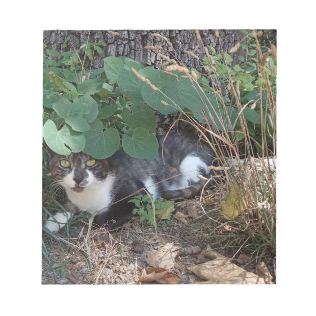 Bloc-note Un chat qui se cache (Devant)
