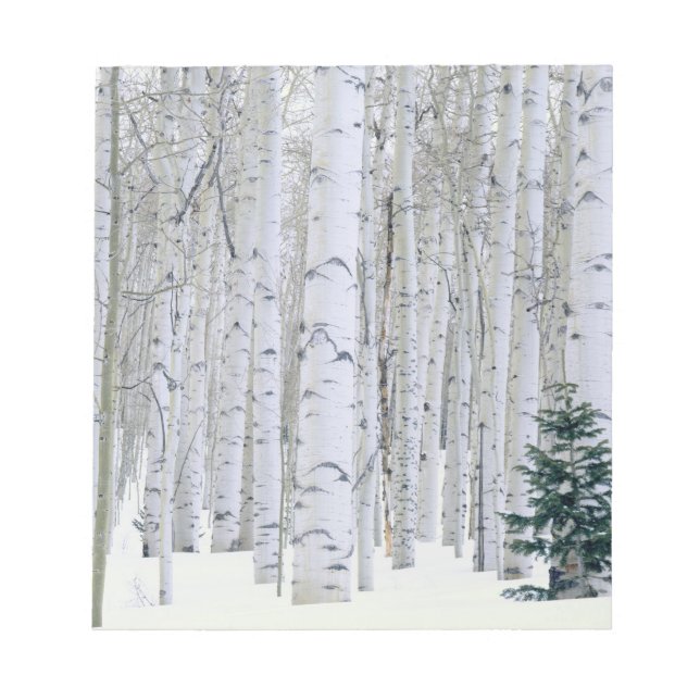 Bloc-note UTAH. ÉTATS-UNIS. Tremble (Populus tremuloides) &  (Devant)