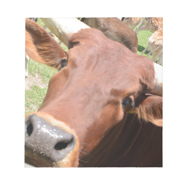 Bloc-note Vache Safari Brown (Devant)