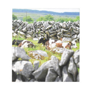 Bloc-note Vaches Moo