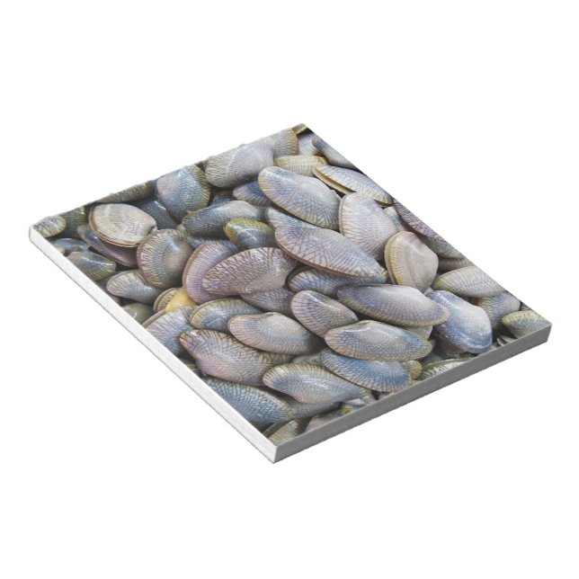 Bloc-note Venus Clam [ห อ ย ล า ย] (Incliné)