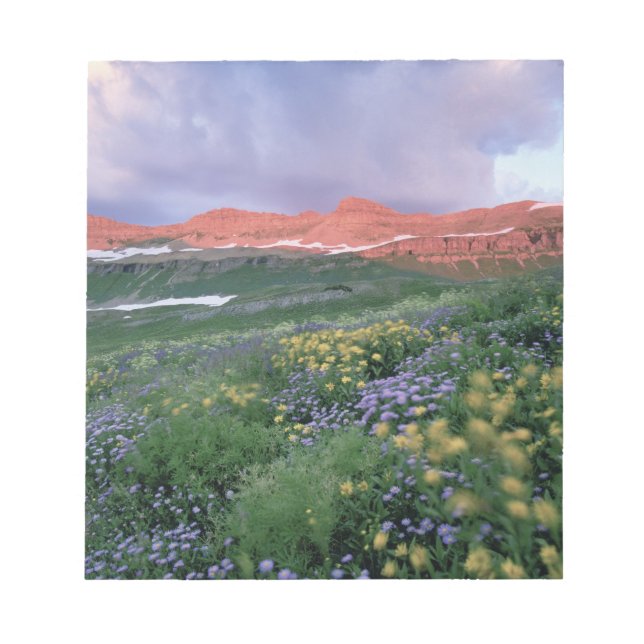 Bloc-note Vergerette voyageuse (erigeron peregrinus) et jaun (Devant)