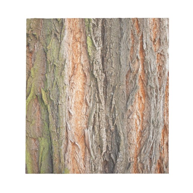 Bloc-note vieux arbre (Devant)