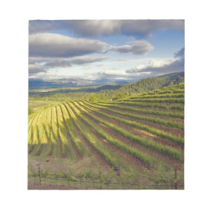 Bloc-note Vignoble. Vallée de Napa. Napa. Comté de Napa,