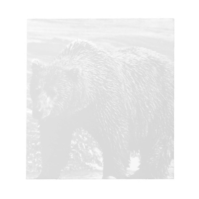 Bloc-note Vintage USA Alaska brun ours 1970 (Devant)