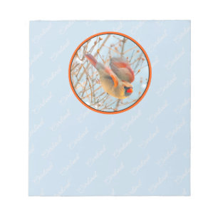 Bloc-note Vol Cardinal Nord - Photo originale