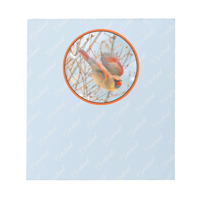 Bloc-note Vol Cardinal Nord - Photo originale (Devant)