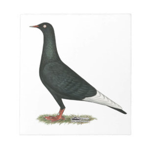 Bloc-note Vol vol Pigeon noir