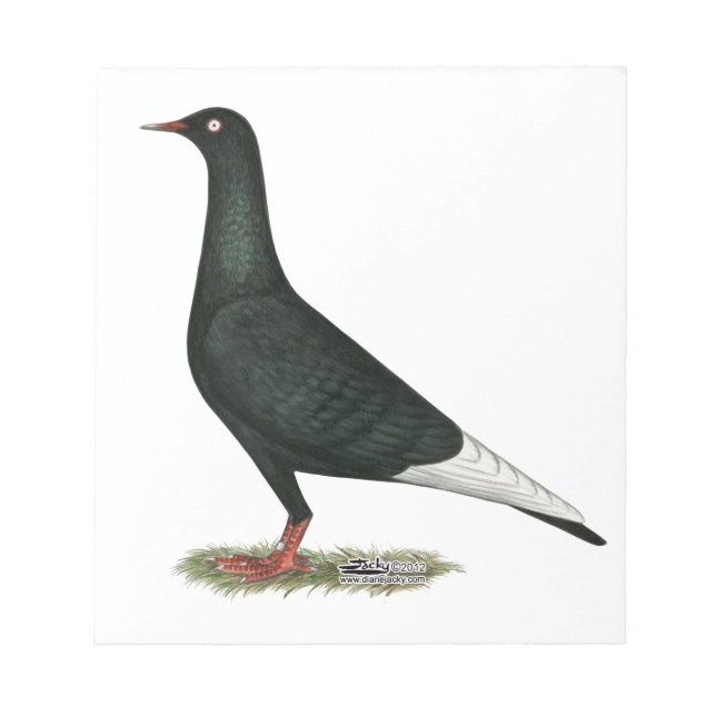 Bloc-note Vol vol Pigeon noir (Devant)