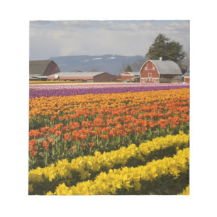 Bloc-note WA, Vallée de Skagit, Champs de tulipes en fleurs,