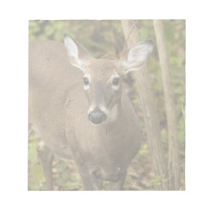 Bloc-note White Tailed