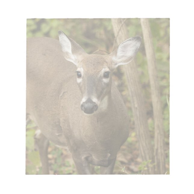 Bloc-note White Tailed (Devant)