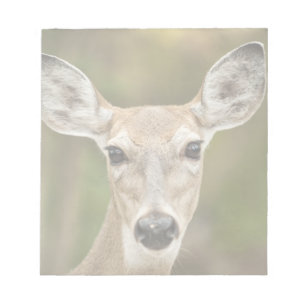 Bloc-note White Tailed