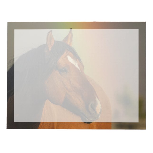 Bloc-note Wild Stallion, Golden Light and Rainbow (Devant)