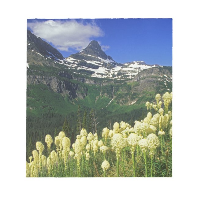 Bloc-note Xerophyllum à Logan Pass dans le parc national de  (Devant)
