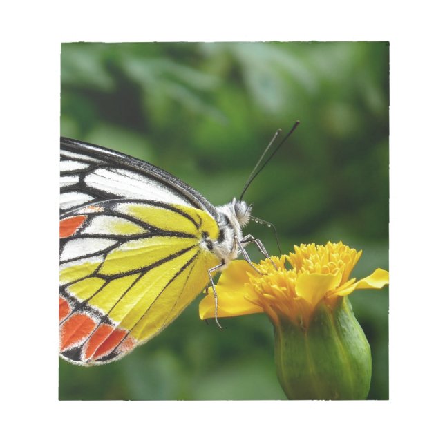 Bloc-note Yellow and Red Butterfly on Yellow Flower (Devant)