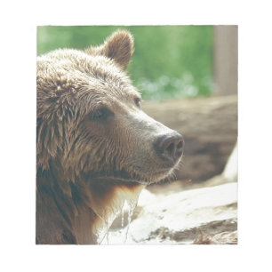 Bloc-note Yeux animaux de visage d'ours adorable mignon de