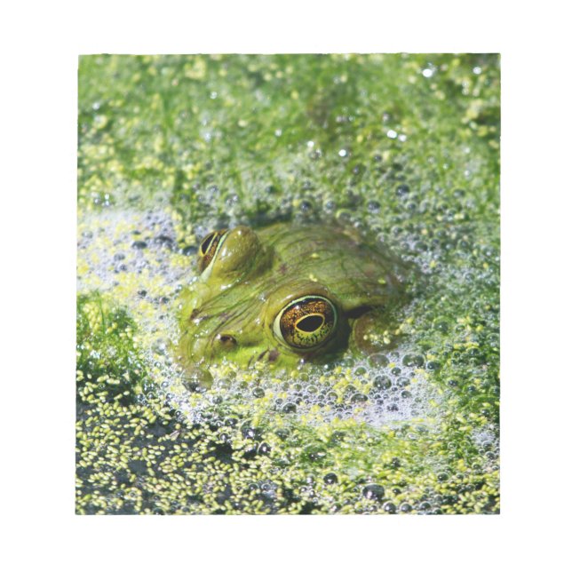 Bloc-note Yeux de grenouille dans un étang (Devant)