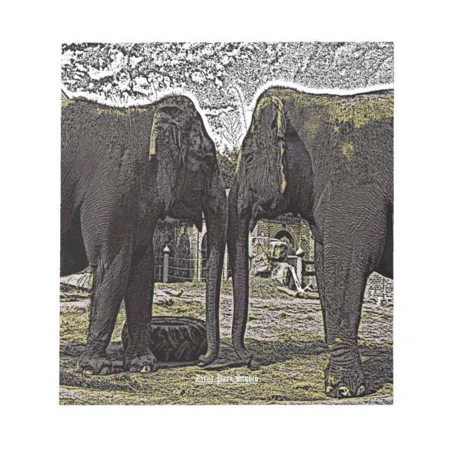 Bloc-note Yeux éléphants (Devant)