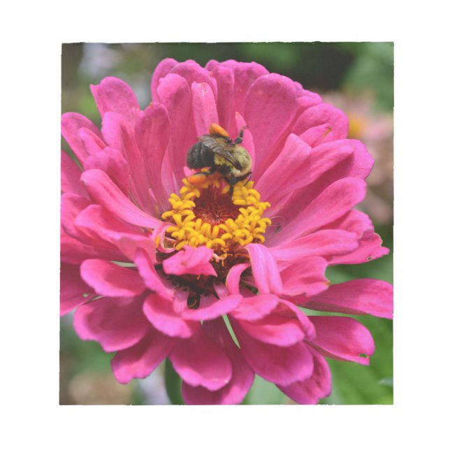 Bloc-note Zinnia rose et Bumble bee (Devant)