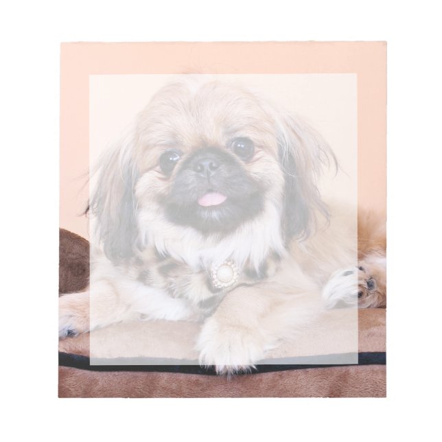 Bloc-note Zoe - Pekingese (Devant)
