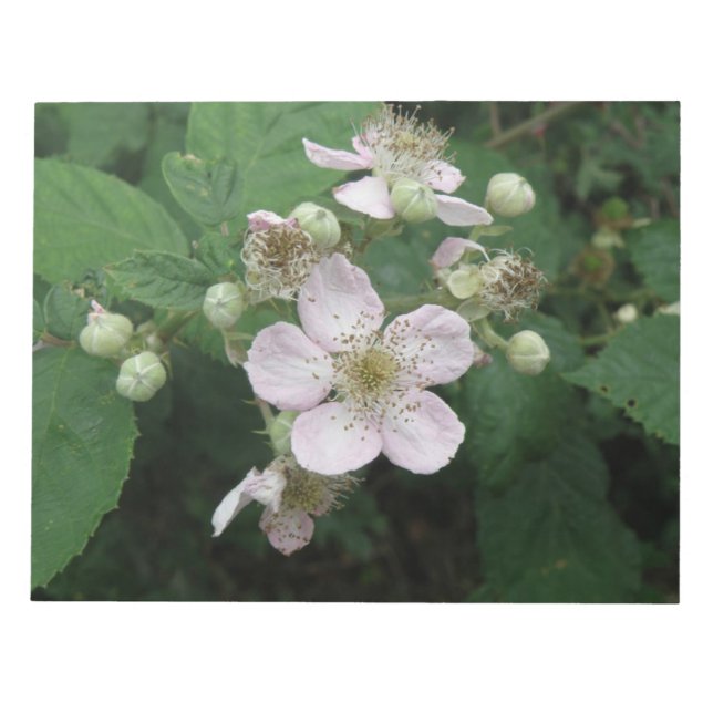 Bloc-notes Blackberry Flowers (Devant)