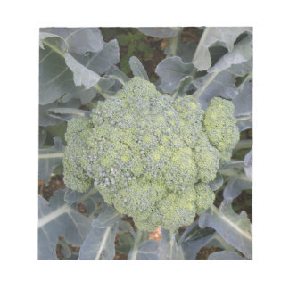 Bloc-notes Broccoli