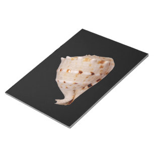 Bloc-notes Conch Shell