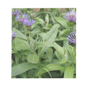 Bloc-notes Cornflowers