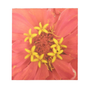 Bloc-notes de macro Zinnia rouge