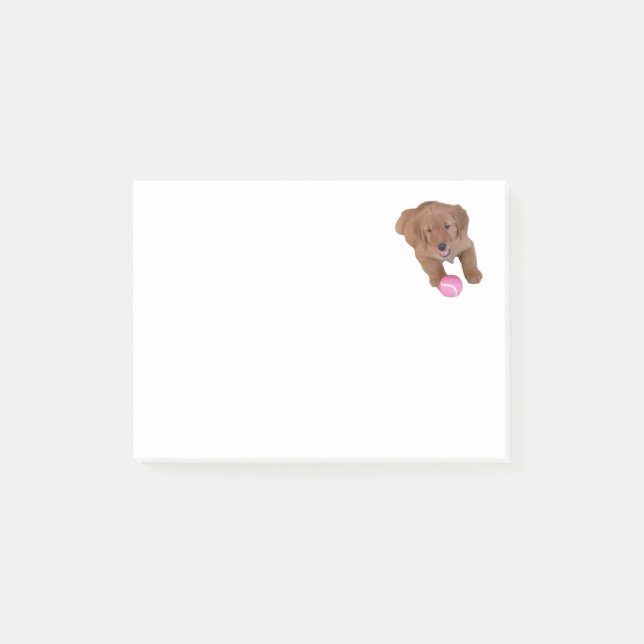 Bloc-notes de post-it de golden retriever (Devant)