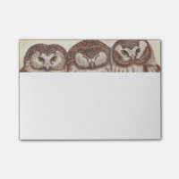 Bloc-notes de post-it de hibou
