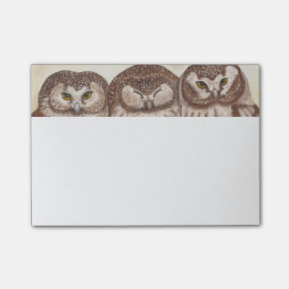Bloc-notes de post-it de hibou