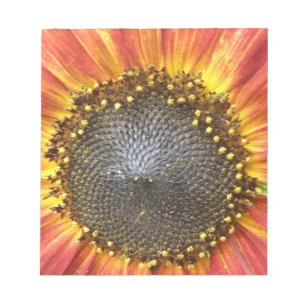 Bloc-notes de tournesol rouge et jaune