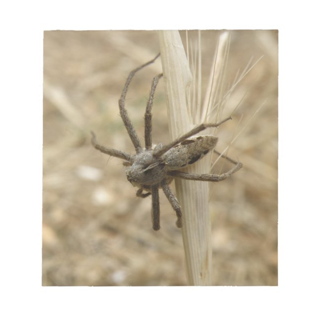 Bloc-notes déplaisant Crawspider (Devant)