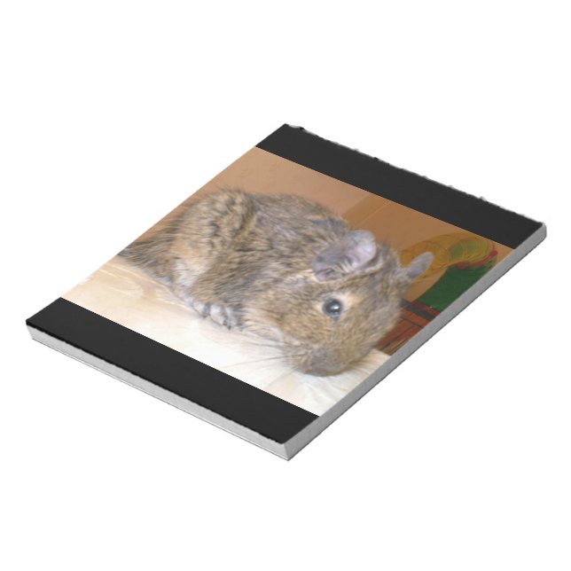 Bloc-notes détendu Degu (Tourné)
