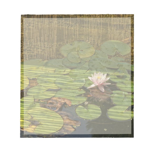 bloc-notes en lime rose (Devant)
